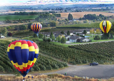 Balloons+over+vineyard+by+dawn+koch